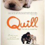 Quill The Life of a Guide Dog (2004) โฮ่ง (ฮับ) เจ้าตัวเนี้ยซี้ 100%