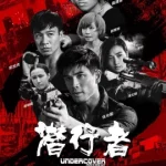 Undercover Punch and Gun (2019) ทลายแผนอาชญกรรมระห่ำโลก